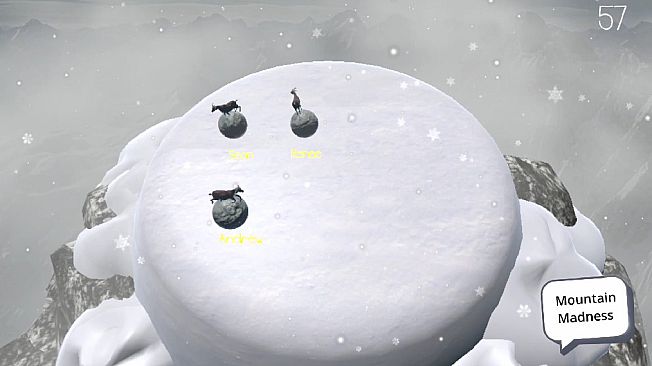 Lights, Camera, Reaction! IRL Edition