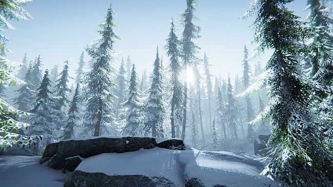 Silence In The Cabin