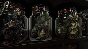 Cannabis Farmer Strain Master