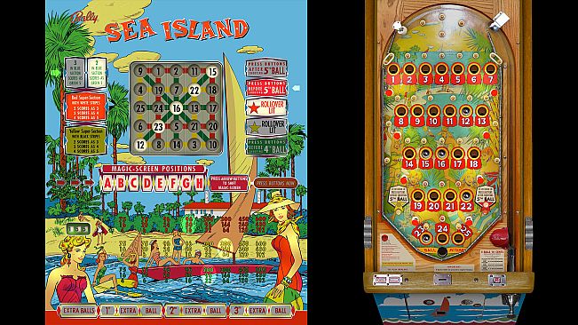 Bingo Pinball Gameroom - Bally Sea Island