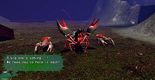 Marimo-VS-IAS: Our Friends