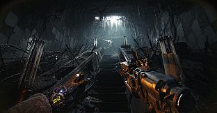 METRO 2039 Deluxe Edition Upgrade