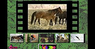 Kid's Zoo: A Baby Animal Adventure