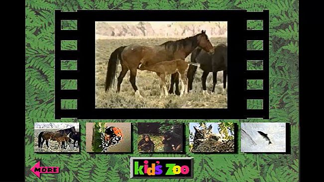 Kid's Zoo: A Baby Animal Adventure