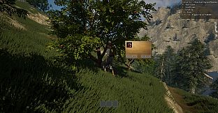 The Wandering Trader