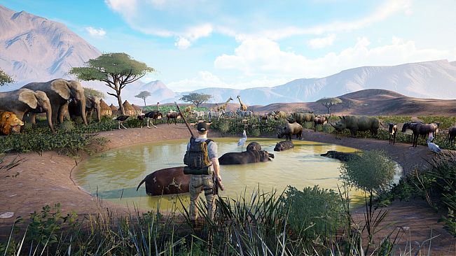 Africa Survival