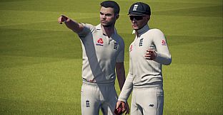 Cricket 19 Windows 10