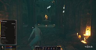 V.O.I.D. - Vexation of Infinite Dungeons