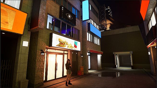 An Odd Walk: Shinjuku Alley