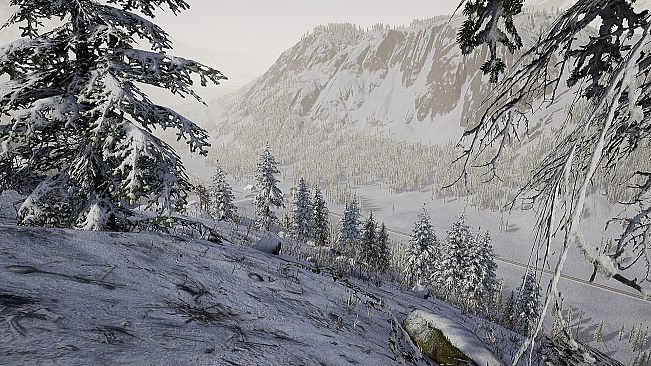 Campaign | Operation: Arctic Hawk