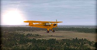 FSX: Steam Edition - Natural Tree Environment X Add-On