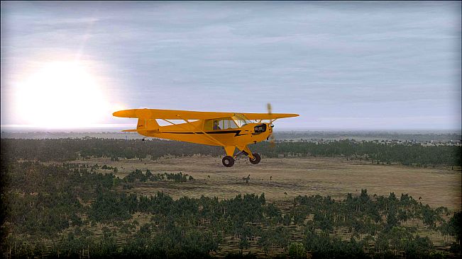 FSX: Steam Edition - Natural Tree Environment X Add-On