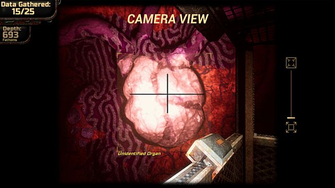 Coagulation Station: Fleshfall