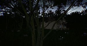 Dick Shortson. The Detective.