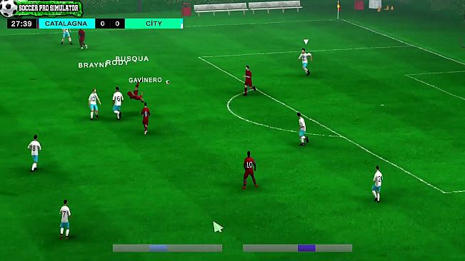 Soccer Pro Simulator