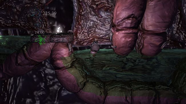 The prisoner of the Night