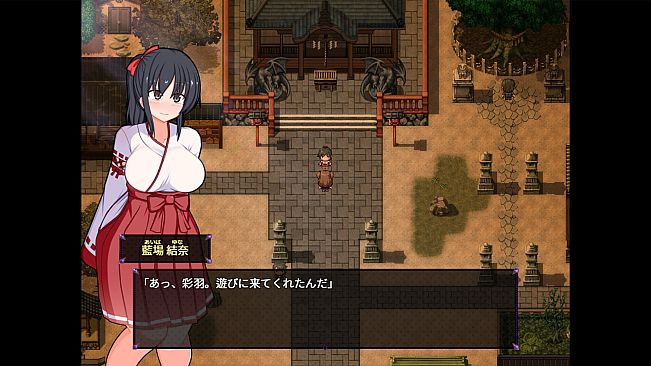 Do Disciplinary Committee Members Dream of Succubi?