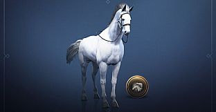 [NA/EU] Black Desert - Traveler to Explorer