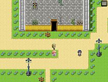 杉木花与风信子 Fir flowers and hyacinths