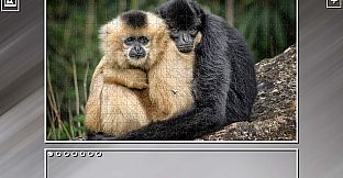 Super Jigsaw Puzzle: Generations - Monkeys & Apes Puzzles