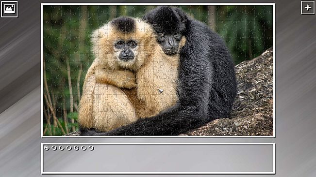 Super Jigsaw Puzzle: Generations - Monkeys & Apes Puzzles