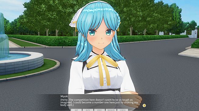 CUSTOM ORDER MAID 3D2 Character EX Pack Cunning