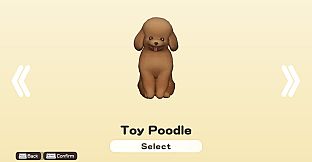 DORONKO WANKO - Toy Poodle