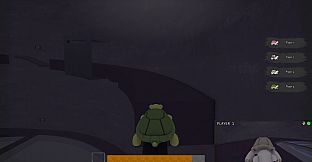 TurtleSkate