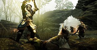 Warhammer: Vermintide 2 - Grail Knight Career