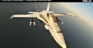 DCS: F/A-18C Flaming Sunrise Campaign by Sandman Simulations