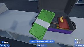 Airport X-Ray Simulator