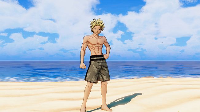 FAIRY TAIL: Special Swimsuit Costume Set for 16 Playable Characters