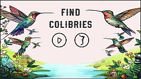 Find Colibries