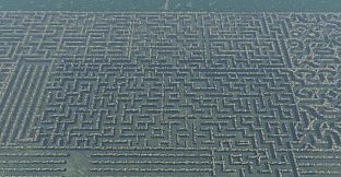 maze to the old castle