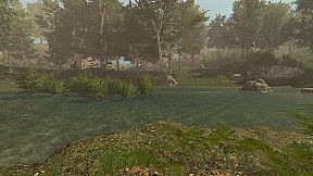 Trials of Wilderness