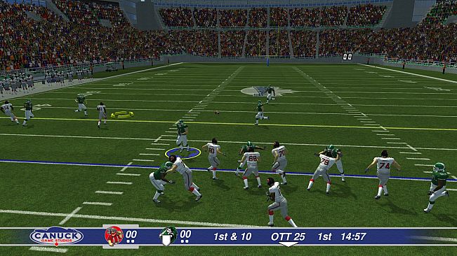 Canadian Football 2017