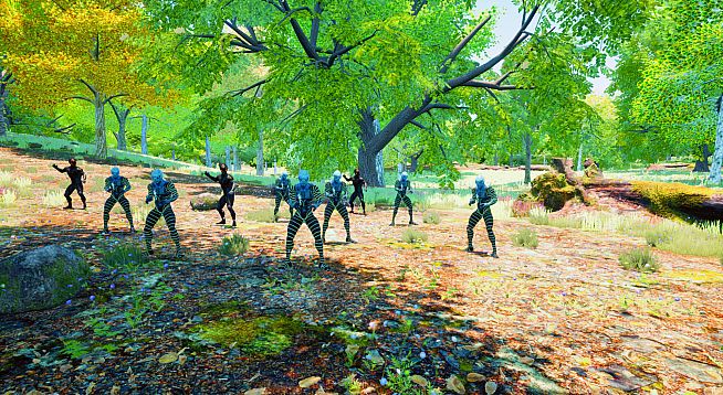 The Seasons Collection: Spring