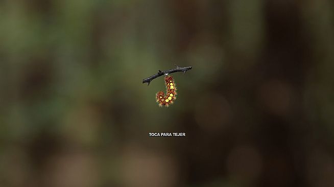 Butterfly Project
