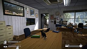 LITTLE CAT TINY STRAYS