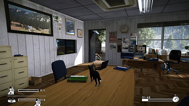 LITTLE CAT TINY STRAYS