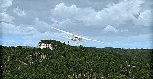 FSX: Steam Edition - Natural Tree Environment X Add-On