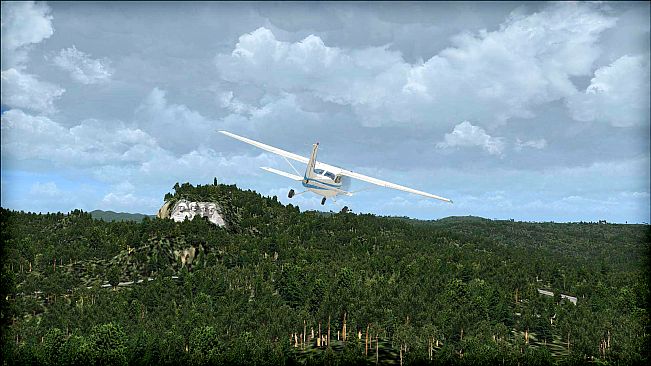 FSX: Steam Edition - Natural Tree Environment X Add-On