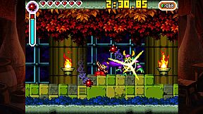Shantae: Risky's Revenge - Director's Cut