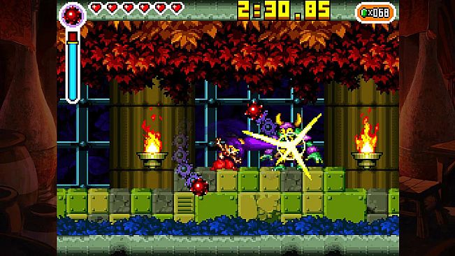 Shantae: Risky's Revenge - Director's Cut