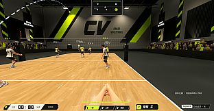 CrazyVolleyball