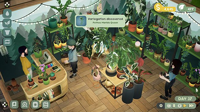Leafy Corner
