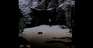 Through The Murky Water