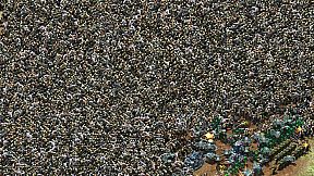 Zombie Rush : Extinction