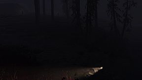 Fire Shadows + People: The Last Bullet