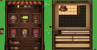 Coin Survivor